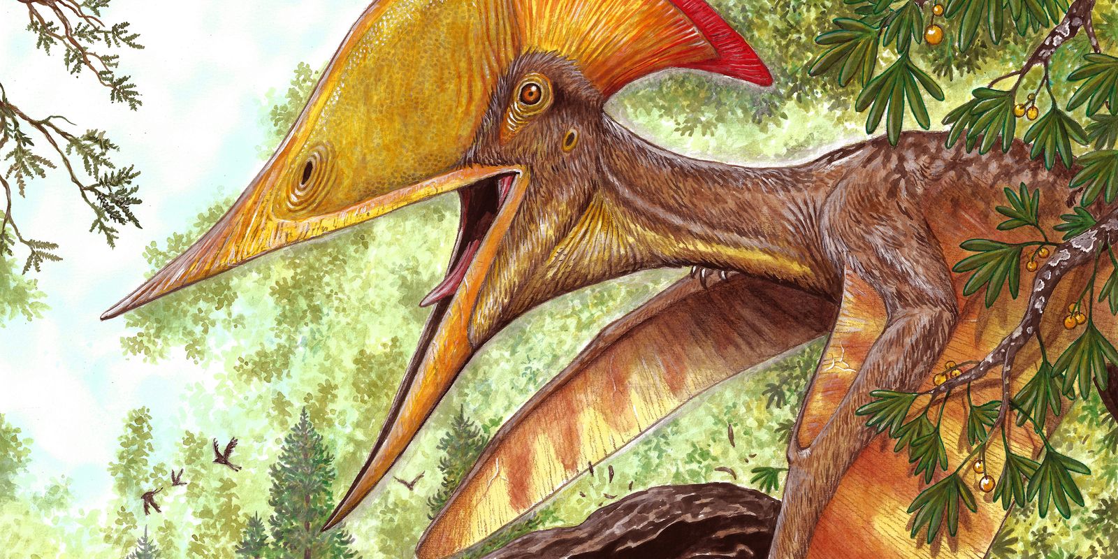 pesquisadores-brasileiros-e-chineses-anunciam-especie-de-pterossauro