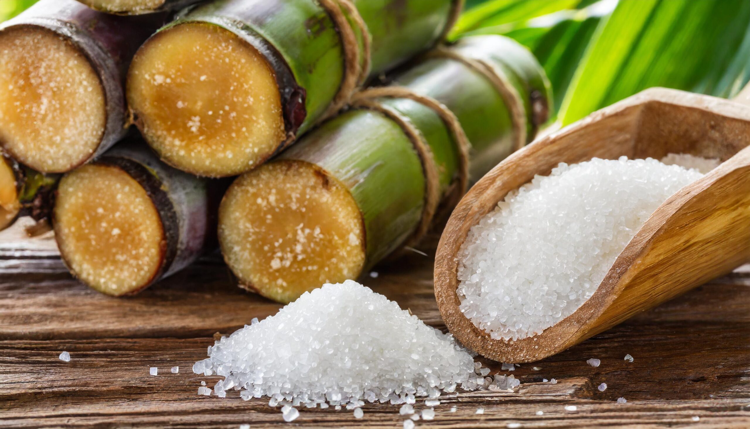 Exportação de açúcar pelo Brasil totaliza 1,79 mi de t em 10 dias de fevereiro; média diária mais de 180% maior ante 2023
