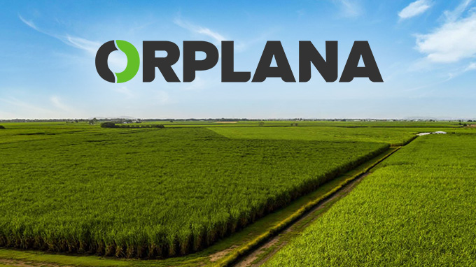 orplana-busca-fortalecer-protagonismo-dos-produtores-de-cana-em-evento-em-brasilia/df