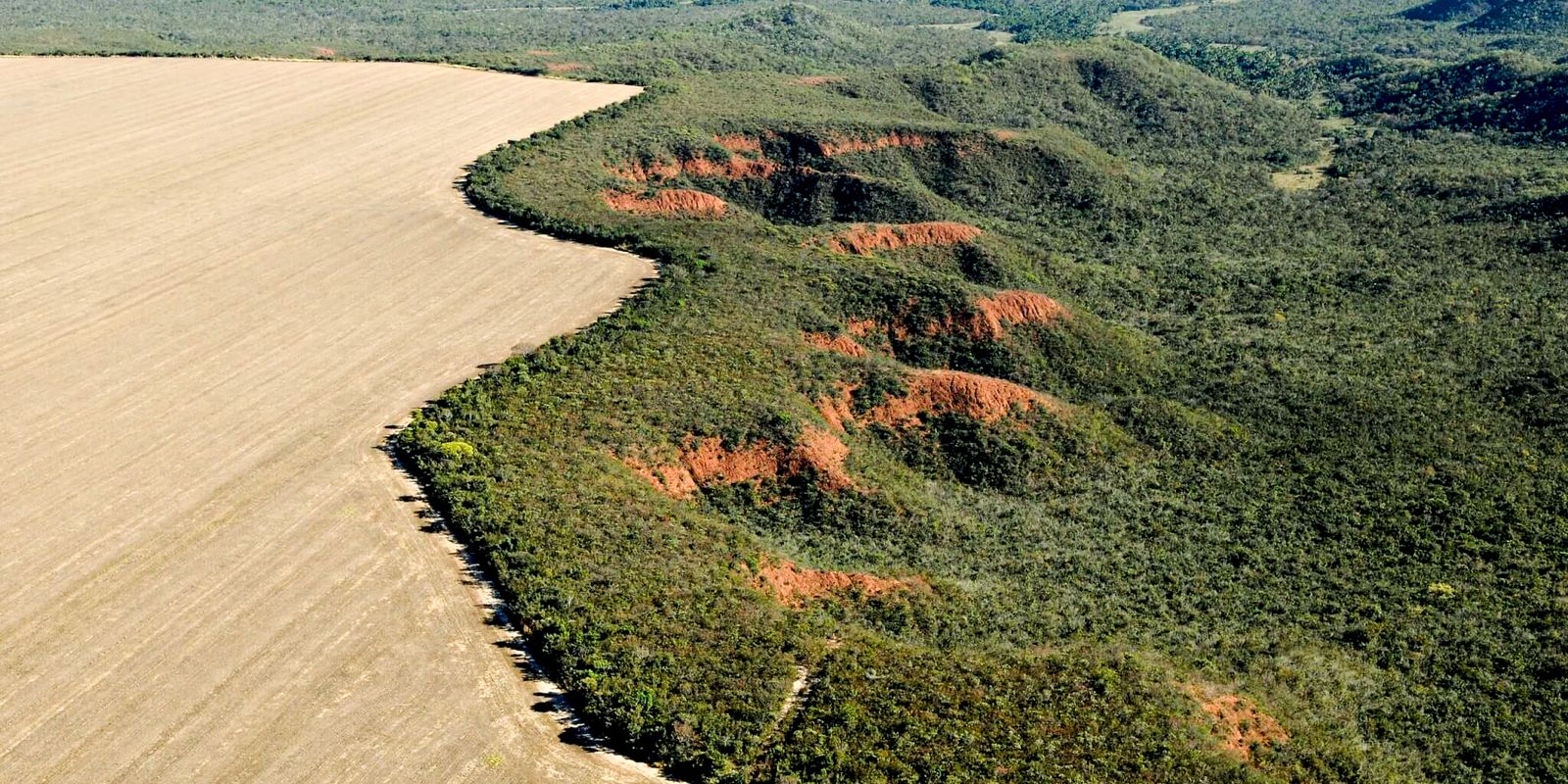 cerrado-tem-alta-de-19%-nos-alertas-de-desmatamento-em-fevereiro