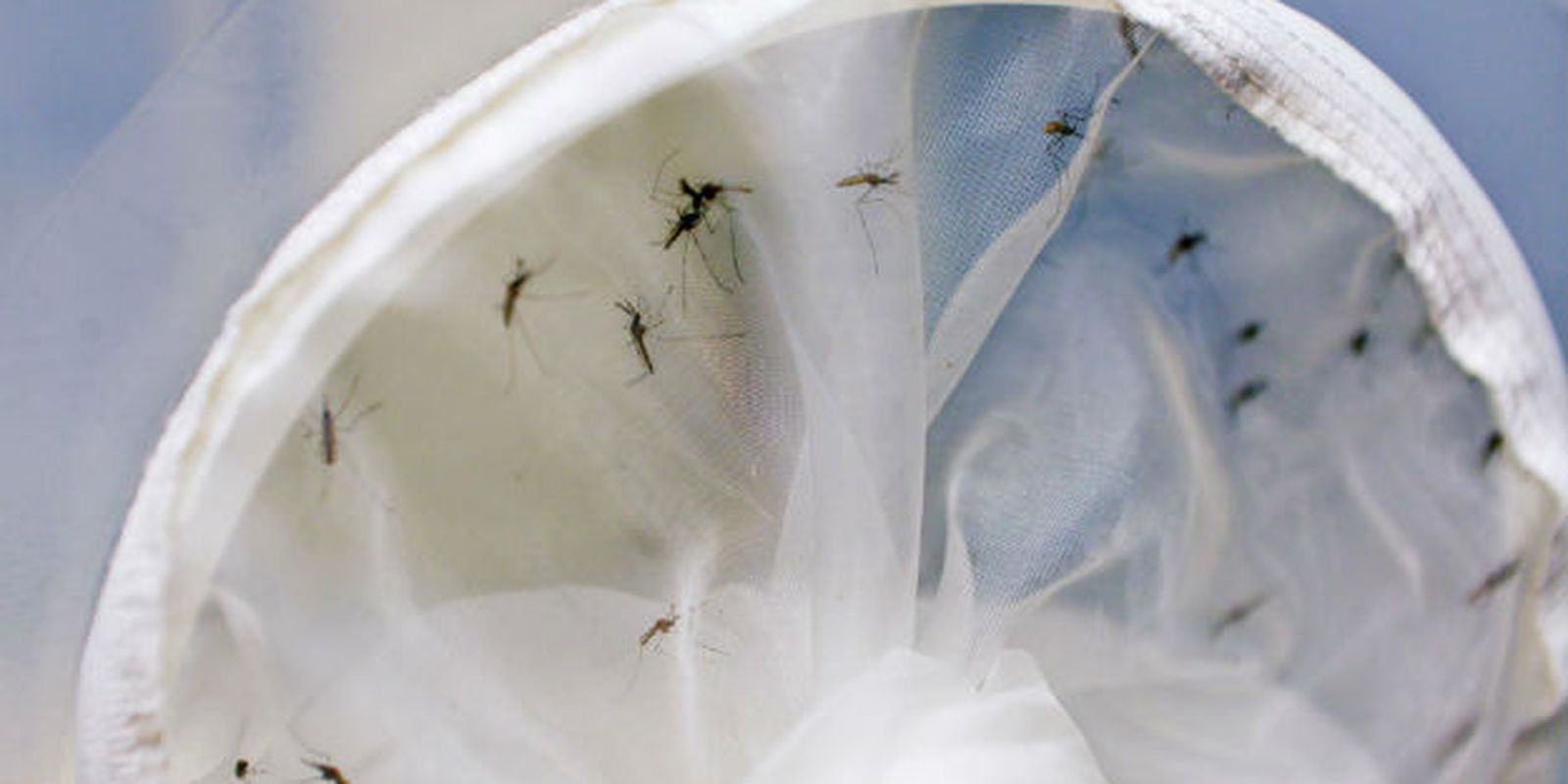brasil-tem-391-mortes-por-dengue