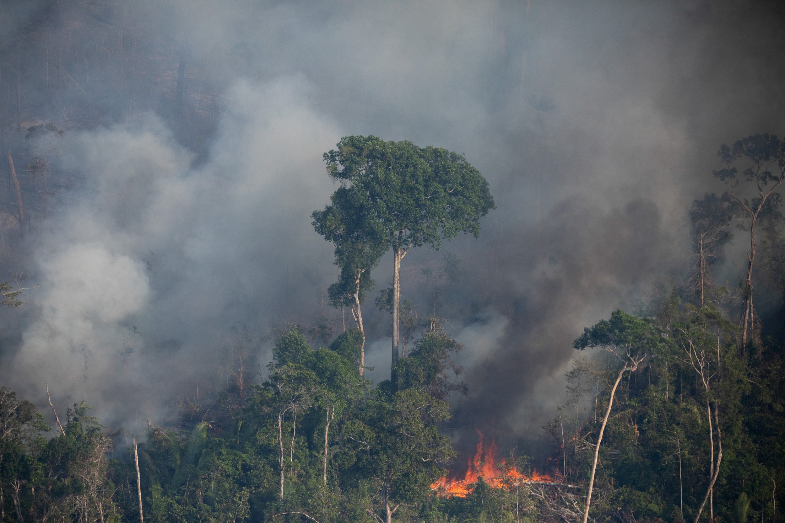 desmatamento-em-rondonia-cai-77%-no-primeiro-bimestre-de-2024,-mas-focos-de-queimadas-aumentam