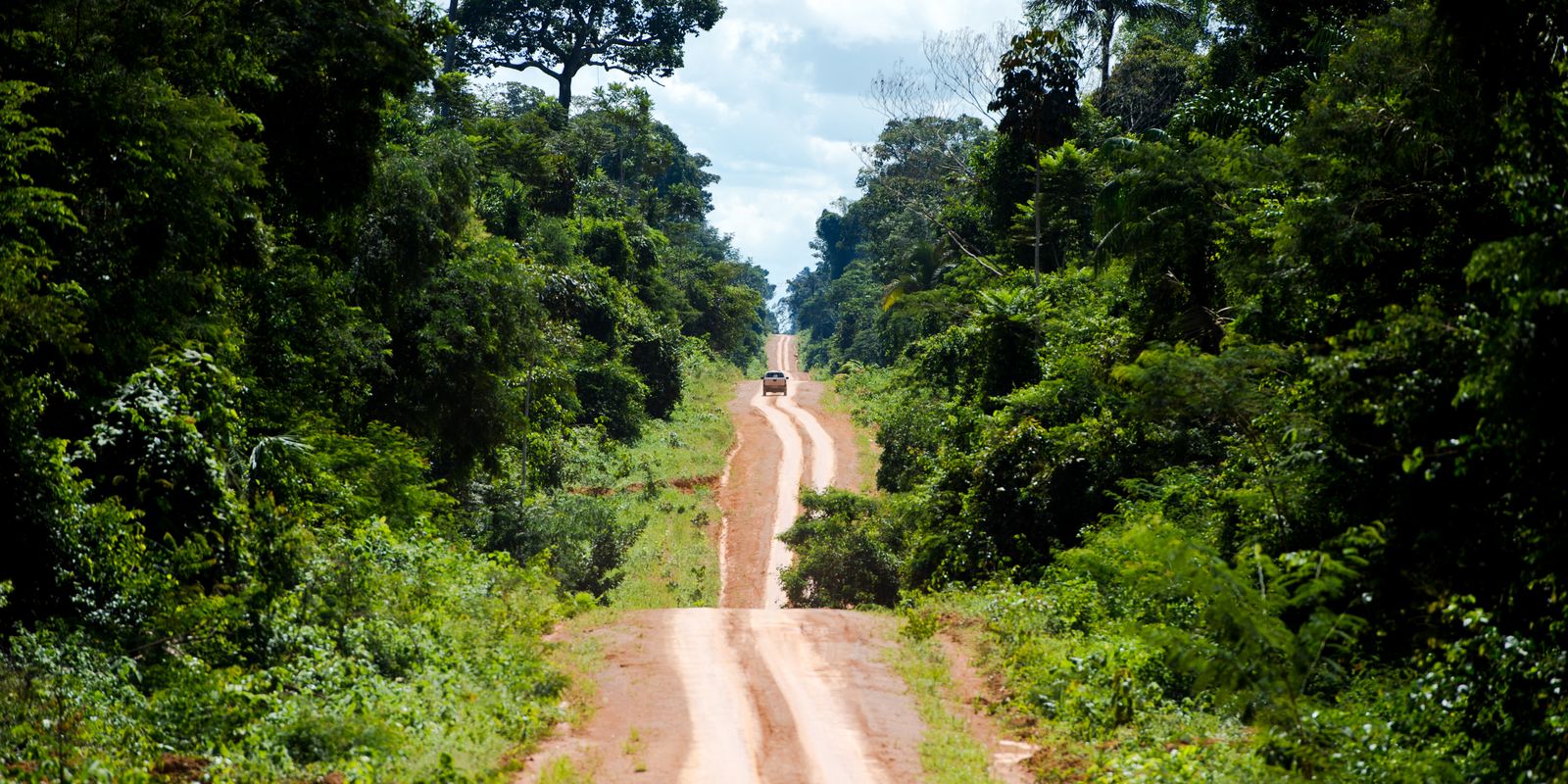 amazonia:-degradacao-afeta-area-tres-vezes-maior-que-desmatamento