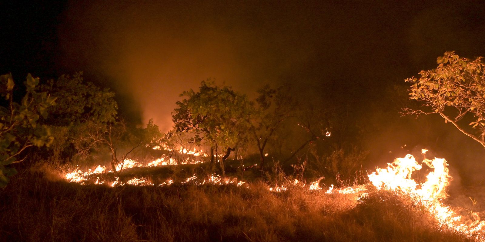 amazonia:-incendio-em-area-de-floresta-madura-cresceu-152%-em-2023