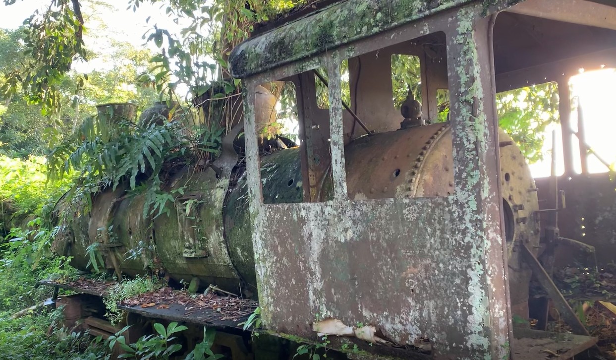 cemiterio-das-locomotivas:-veiculos-da-estrada-de-ferro-madeira-mamore-estao-abandonados-em-porto-velho