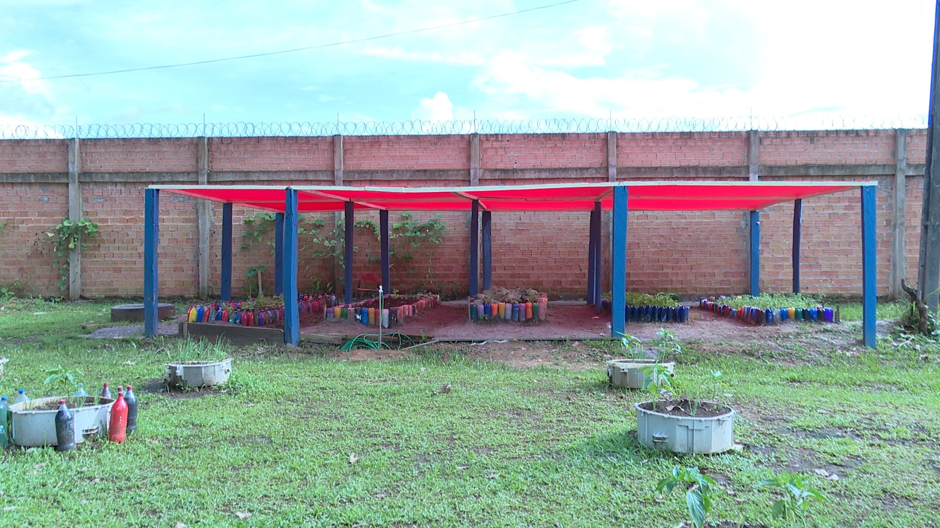 Projeto de horta em escolas incentiva o desenvolvimento de alunos e auxilia na segurança alimentar, em RO