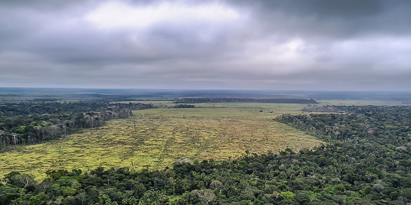 ipam-e-banco-mundial-lancam-plataforma-sobre-desmatamento-na-amazonia