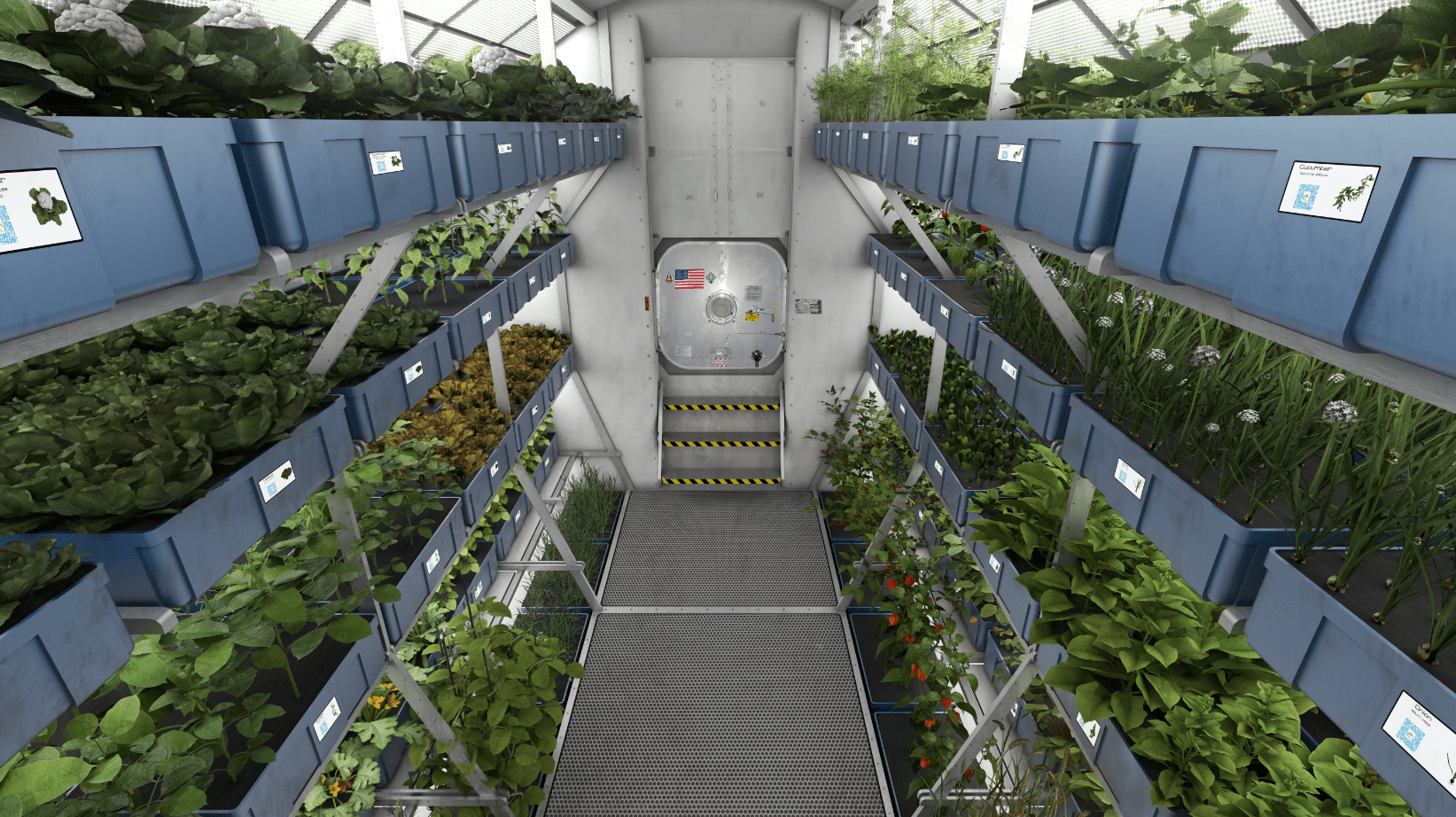 Brasil vai desenvolver cultivo de alimentos no espaço